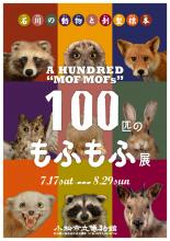 企画展「１００匹のもふもふ展～石川の動物と剥製標本～」